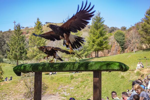 Las instalaciones de CANTUR y El Soplao reciben más de 13 500 visitantes este puente de diciembre