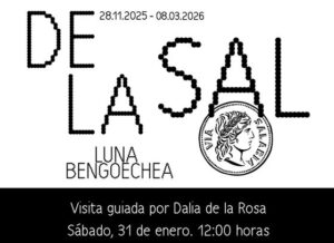 visita guiada de la sal