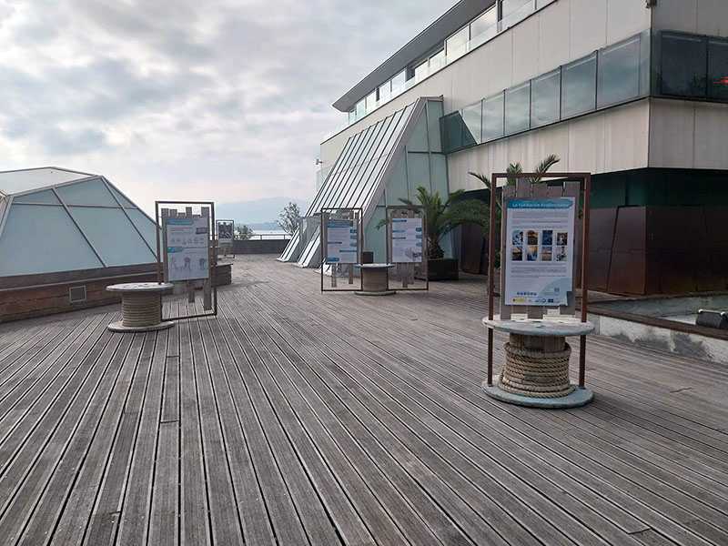 webcultura exposicion biodiversidad