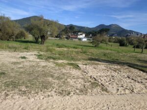 fotografia cartel (1)