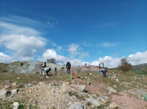 fotografia cartel (4)